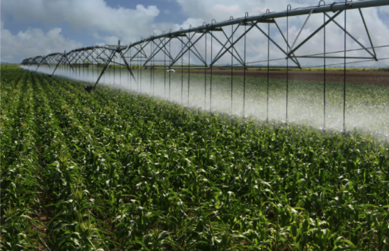 Alege in mod corect sistemul de irigatii agricole