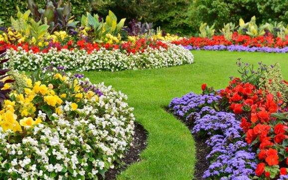 Un ghid complet despre cum să-ți remodelezi grădina ca un profesionist