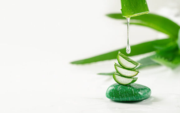 4 avantaje pe care le ai dacă alegi un topper cu aloe vera pentru salteaua ta