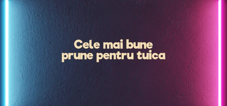 Cele mai bune prune pentru tuica