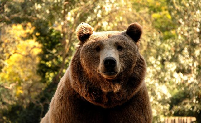 cele mai frumoase seriale turcesti de dragoste traduse in romana