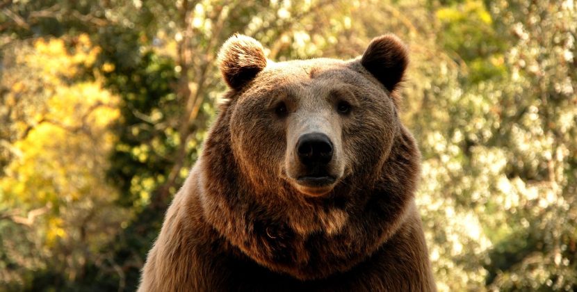 Cele mai frumoase seriale turcesti de dragoste traduse in romana