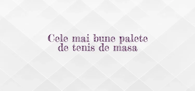 Cele mai bune palete de tenis de masa