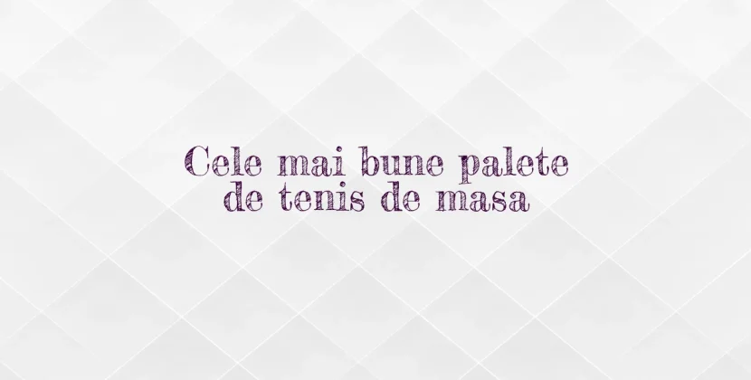 Cele mai bune palete de tenis de masa