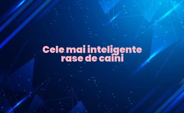 cele mai inteligente rase de caini