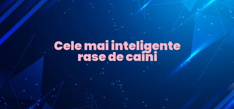 Cele mai inteligente rase de caini