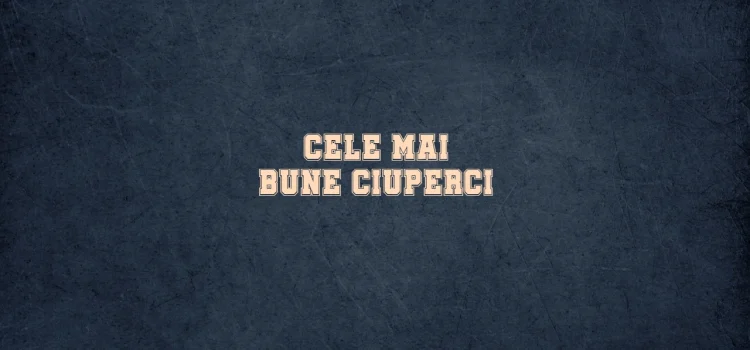 Cele mai bune ciuperci