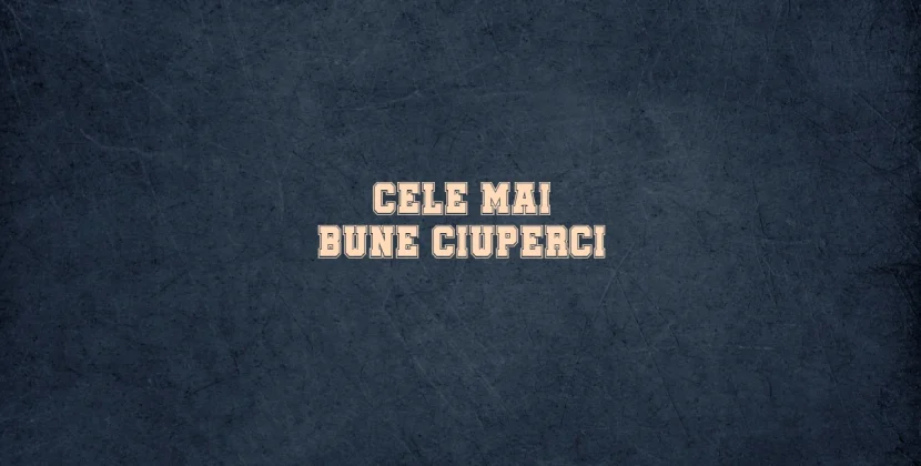 Cele mai bune ciuperci