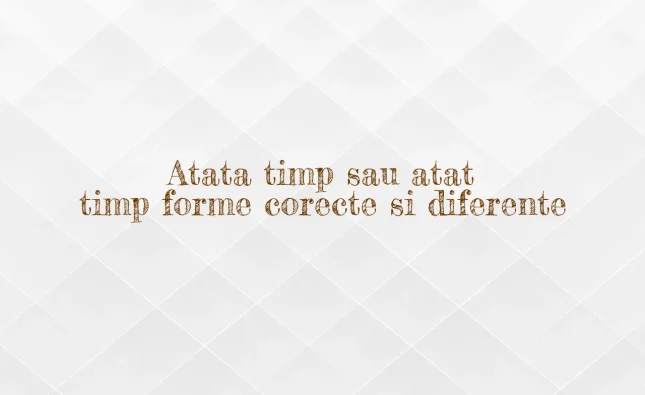 Atata timp sau atat timp forme corecte si diferente