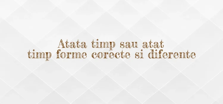 Atata timp sau atat timp forme corecte si diferente