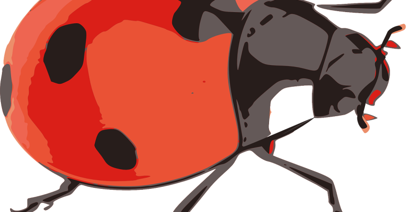 Cele mai tari citate