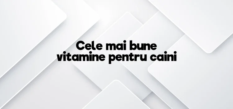 Cele mai bune vitamine pentru caini