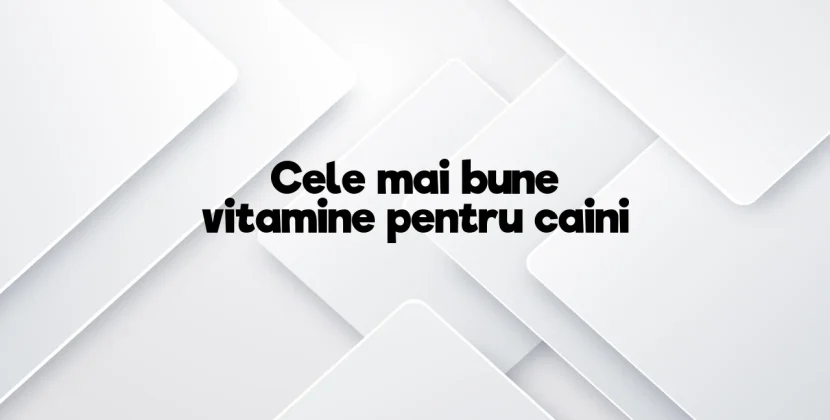 Cele mai bune vitamine pentru caini