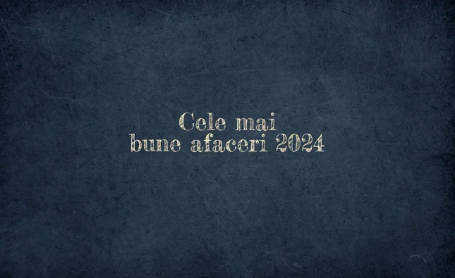 cele mai bune afaceri 2024