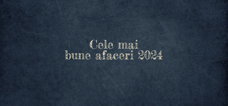 Cele mai bune afaceri 2024