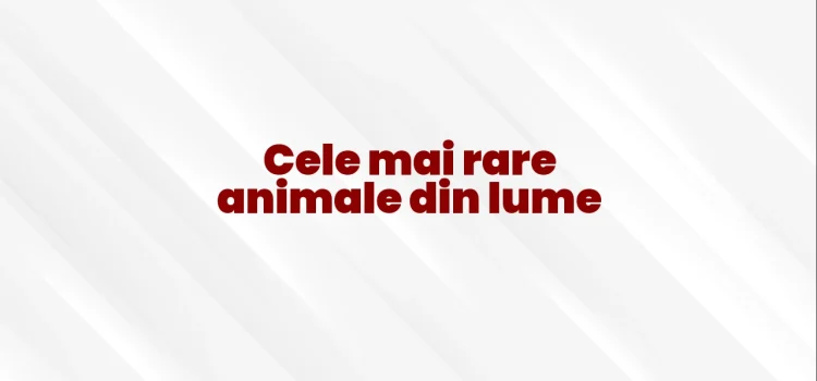 Cele mai rare animale din lume