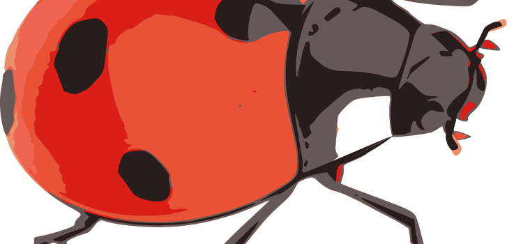 Cele mai frumoase icoane ortodoxe